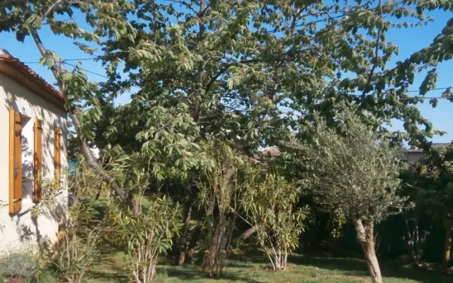 Les Cerisiers