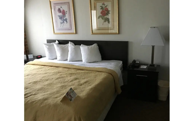 Quality Inn Columbia City Near Us-30