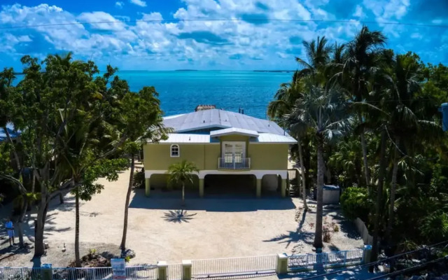 Lime Key in Key Largo