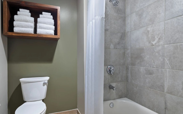 Great Wolf Lodge Webster