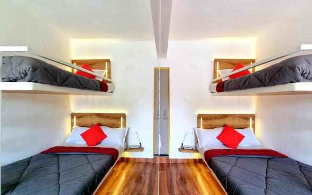 Stay inn nest