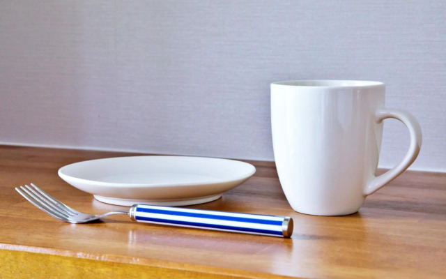 Tommy Condominium Wakasa 501