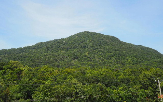 Naomi Resort