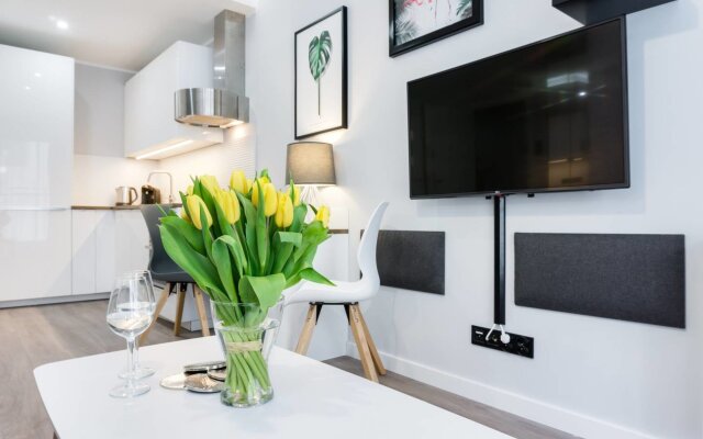 Modern Studio Apartment