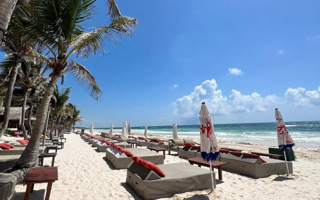 Mia Tulum Resort Beach Front