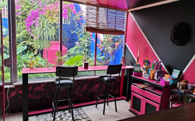 Casa Maguey