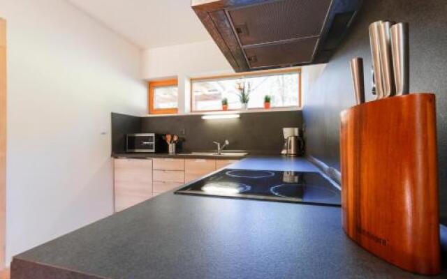 Chalet 6 Harrachov