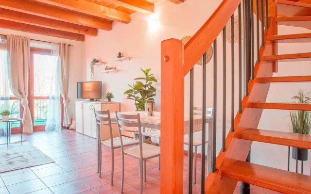 Experia Golf Loft - Italian Homing