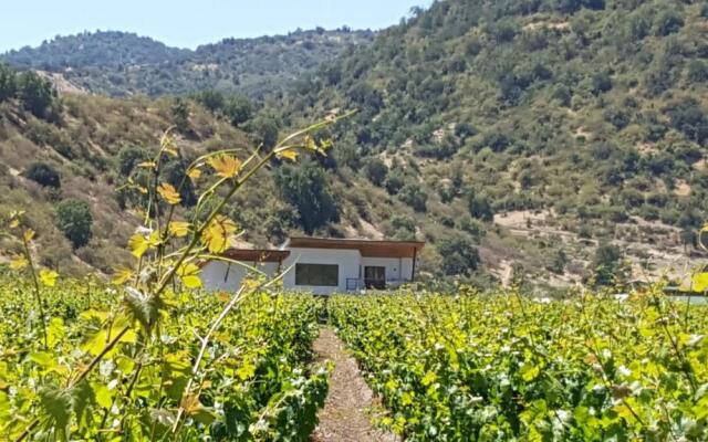 Callihue de Colchagua Lodge