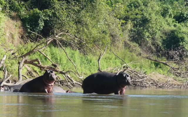 Wami River Bush Retreat - Kisampa