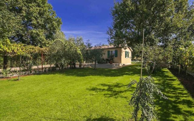 Villa Oliva