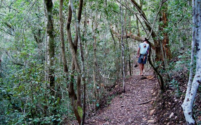 Woodlands Self Catering, Knysna