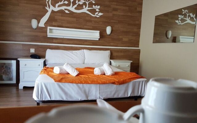 Erts Boutique Hotel
