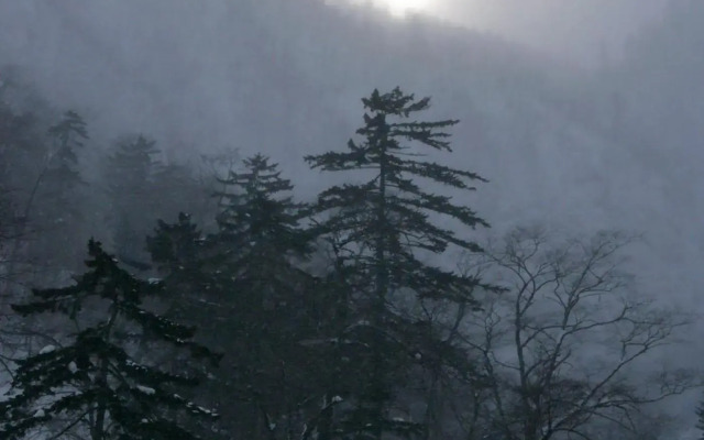 Kojohama Onsen Hotel Izumi
