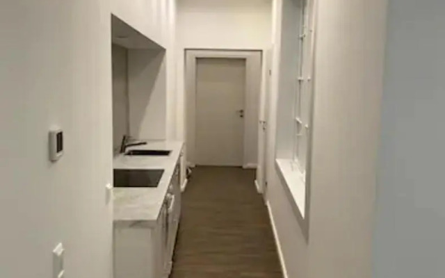 Luxurious Apartment in the Centre of Vienna