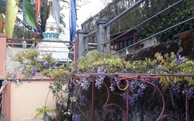 Little Singamari Home Stay