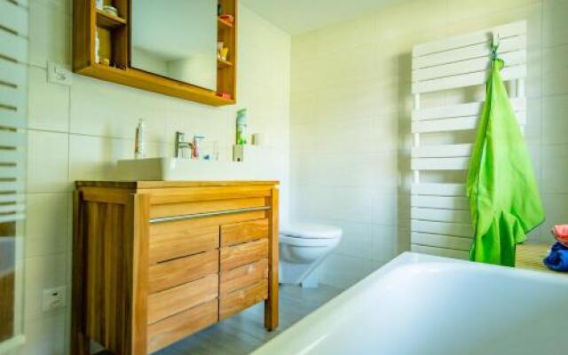 Chalet la Regin