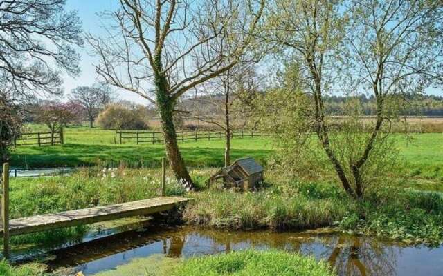Boutique Apartment in Bere Regis With Pond