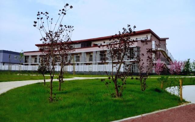 Privilege Apartments