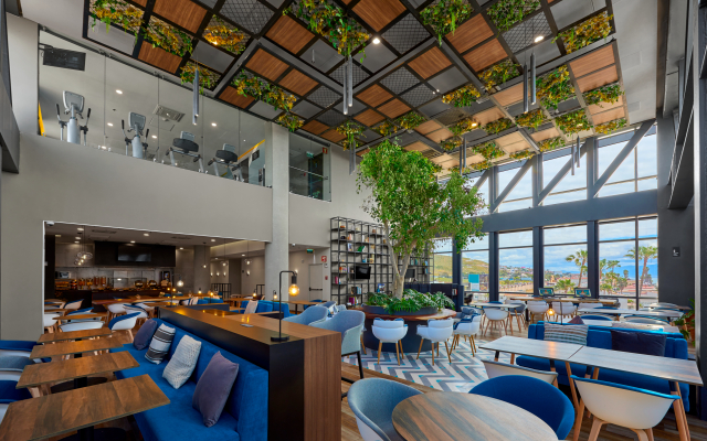 City Express Plus by Marriott Ensenada