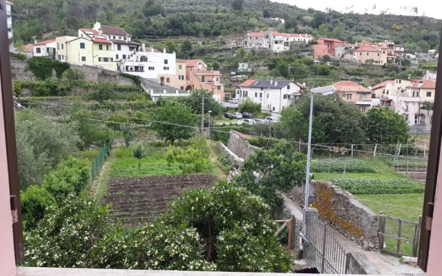 La Terra di Mingo