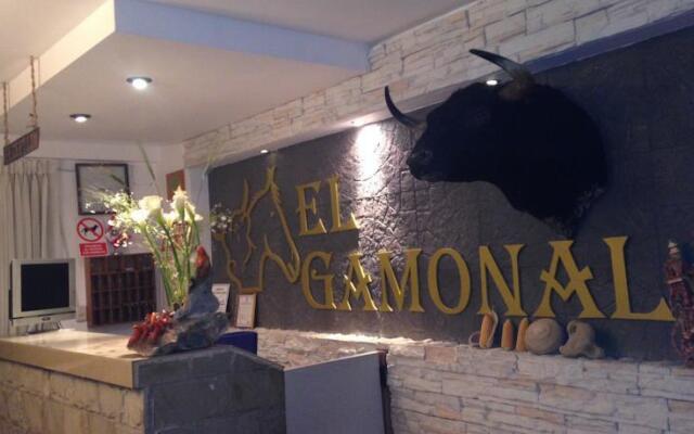 El Gamonal