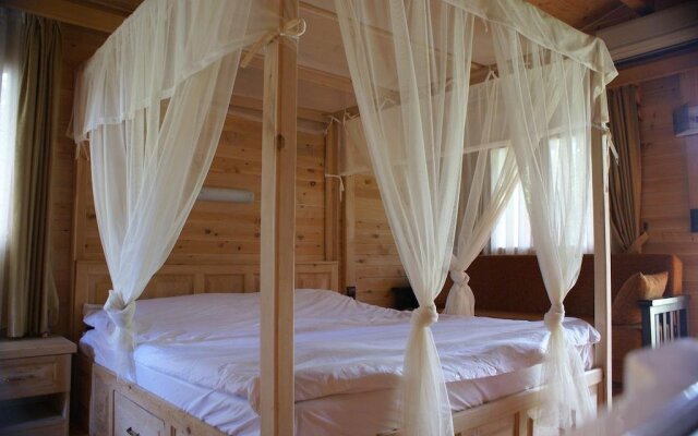 Olympos Tanrılar Kulübü