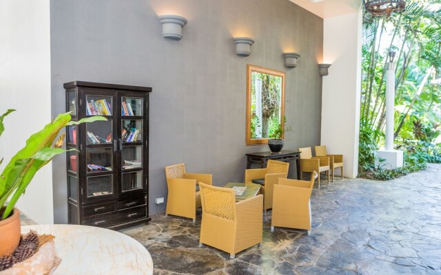 46 Alamanda