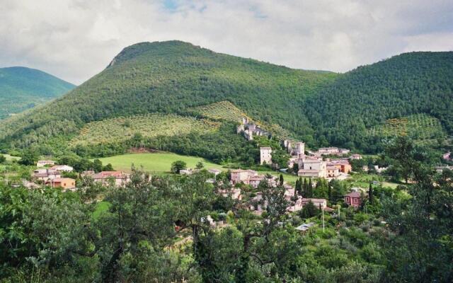 Agriturismo L'Ulivo