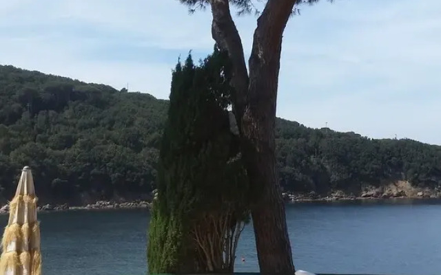 Villa Lia