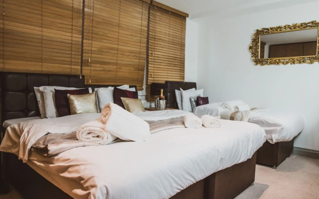 Novelty Suites