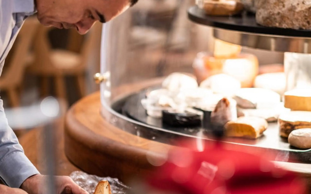 Mercure Grenoble Centre Alpotel