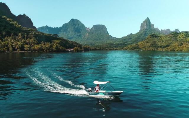 Robinson's Cove Villas