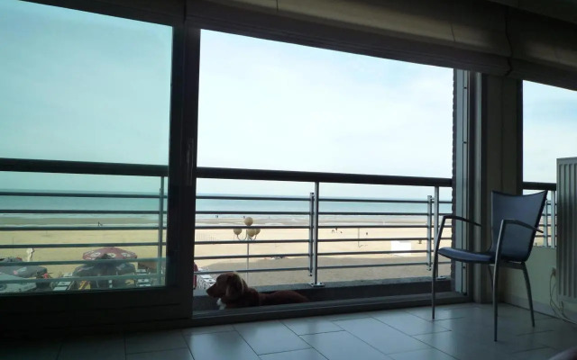 Residentie Albert-1, app.202, Zeelaan 214