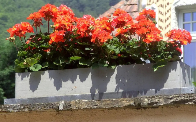 Gasthof-Pension Leopold Janu