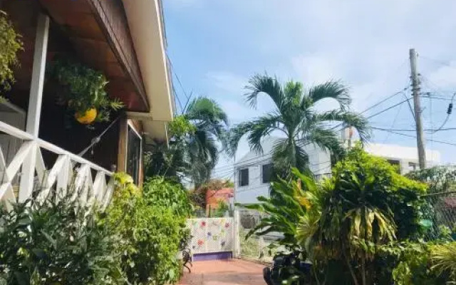 Acacias Tree Hostel