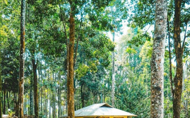 Vythiri Wild Forest Resort