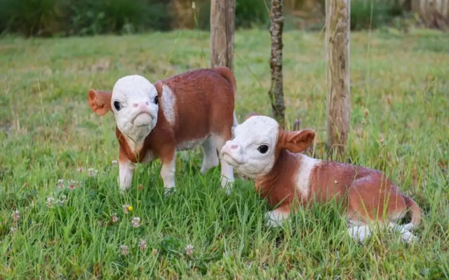 Apartment in Nieuwpoort by the Sea Wall