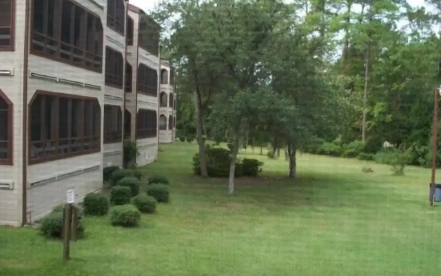 Maison Drive Joint