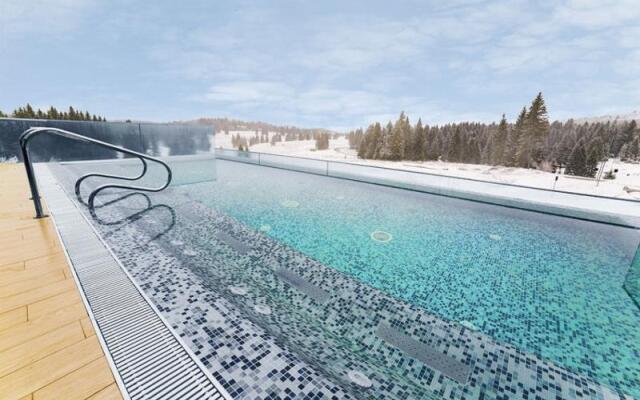 Silver Mountain
