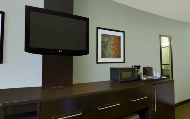 Holiday Inn Express Romulus / Detroit Airport by IHG
