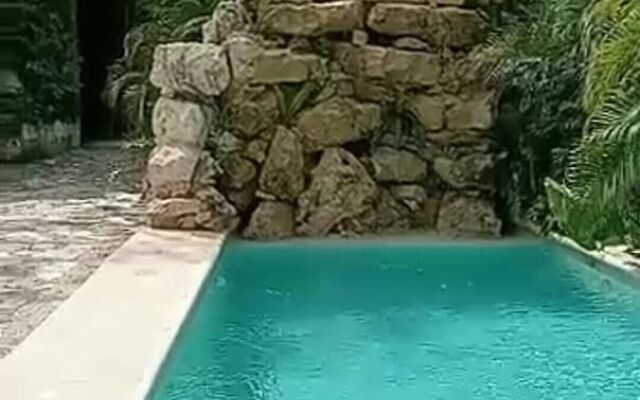 Jungle Mansion & Cuisine