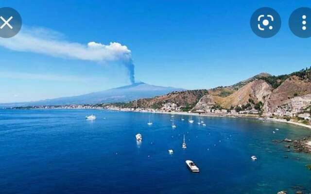 The Little House on the sea