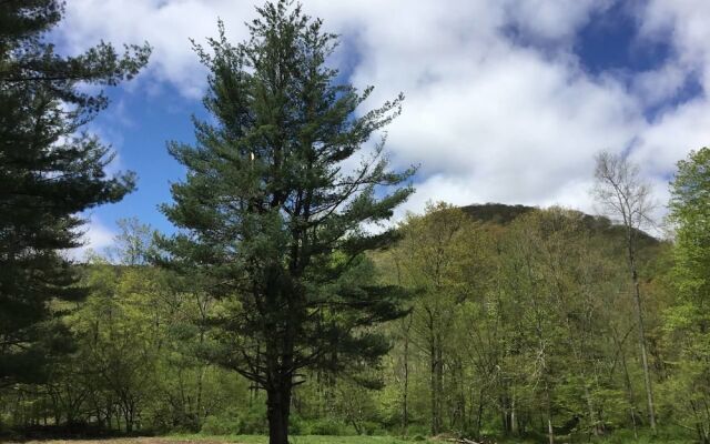 Tentrr - Big Indian Wilderness Paradise