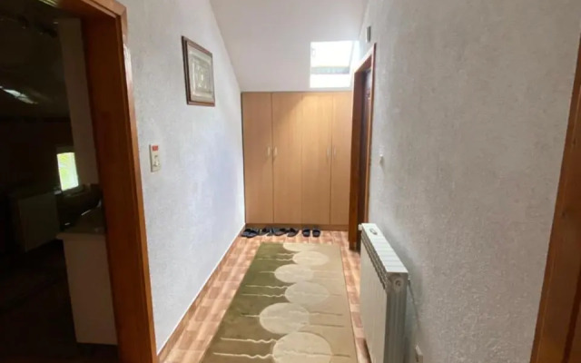 Apartments Adi
