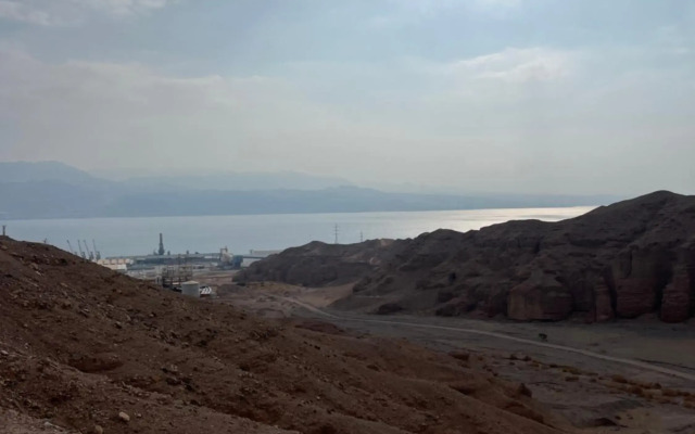 ניב ברוזמרין