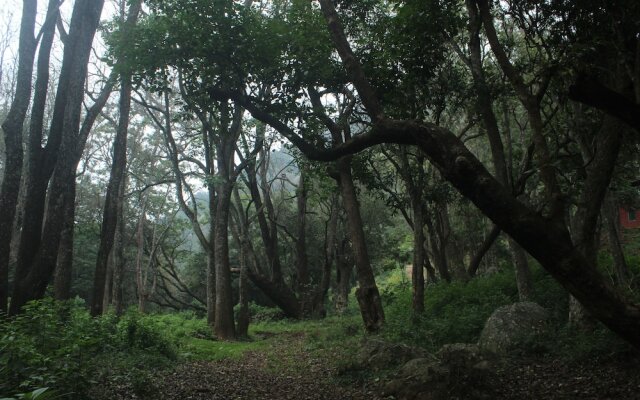 Secret Valley Jungle Resort