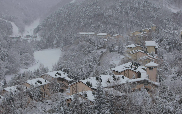 Yongpyong Resort Villa Condominium