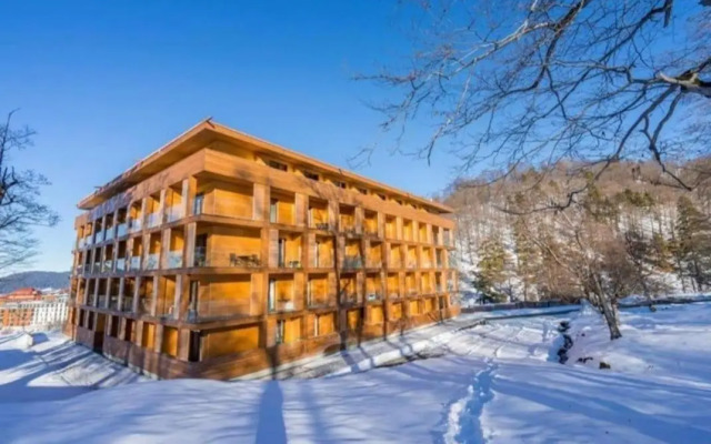 The Valley Resort Bakuriani (Didveli)