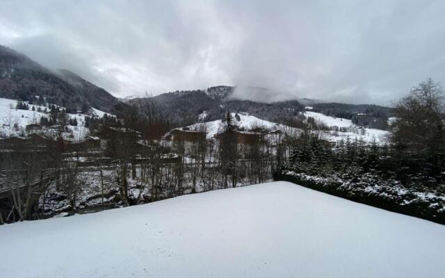 Appartement Praz-sur-Arly, 1 pièce, 4 personnes - FR-1-603-32